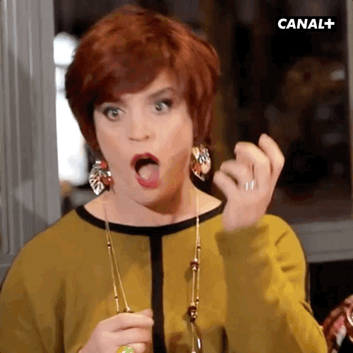 Catherine Liliane Secretaire Canal Humeur GIF