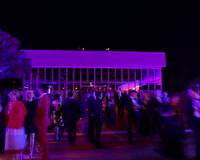 art and film crowd GIF by LACMA