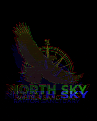 NorthSkyRaptor GIF