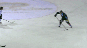 DEL-Redaktion bottle tor eishockey del GIF