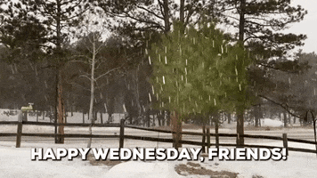 Freezing Winter Storm GIF by Storyful
