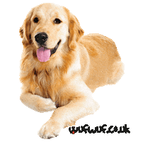 Dog Sticker by wufwuf