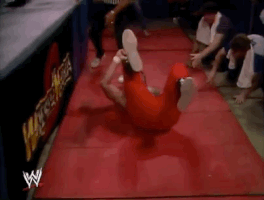 wrestlemania 2 wrestling GIF by WWE