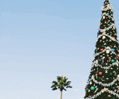 christmas tree GIF by Lil Helper Cloth Diapers