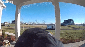 Delivery Drivers Truck Rolls Away GIF by ViralHog