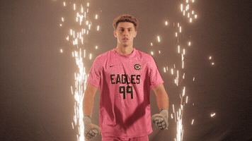Goalkeeper Goalie GIF by Carson-Newman Athletics