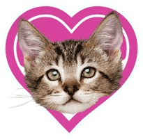 Kitten Food Sticker by Hill's Pet Nutrition EMEA