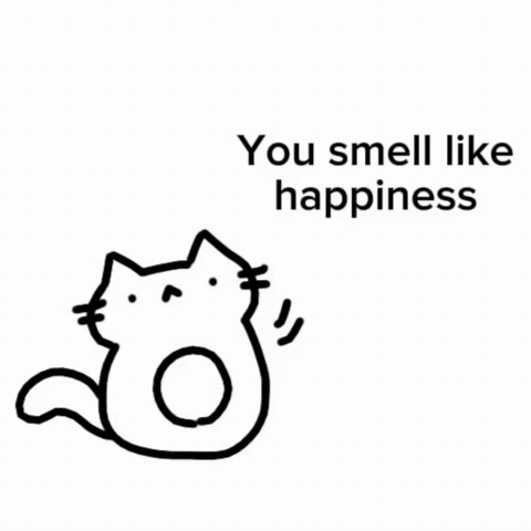 Happy Cat GIF