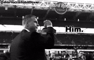 Miami Canes GIF
