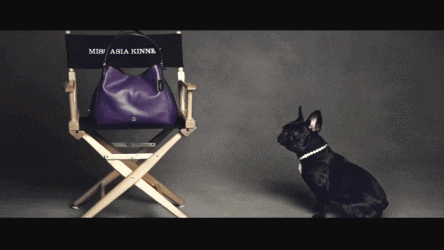 giphy.gif