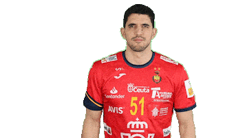 Real Federación Española de Balonmano Sticker