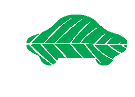 Teycaptainm Sticker by Toyota Eco Youth