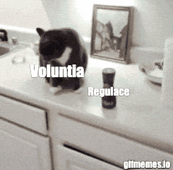 Voluntia CZ GIF