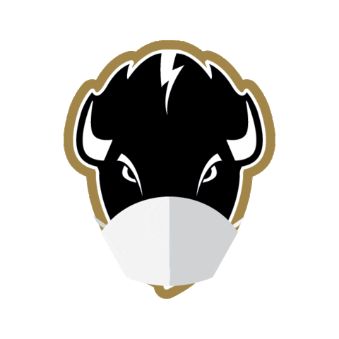 Gold Banner Sticker by Harding University