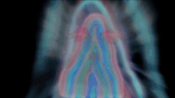 GIF by National Film Board of Canada