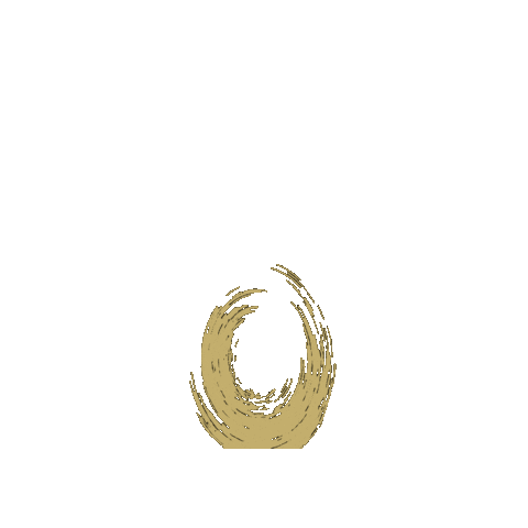 International Rugby Experience Sticker