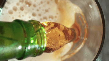 spreadyourwings ilovebeer GIF by Yuengling