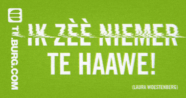 Carnaval Kruikenstad GIF by Tilburg.com