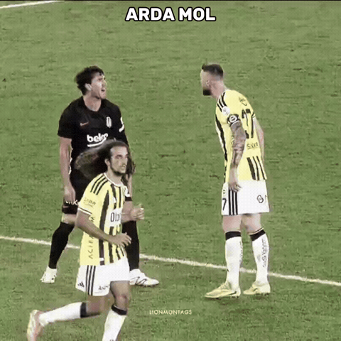 Ardamol GIF