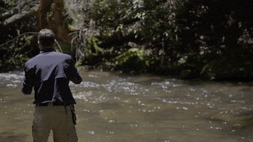 Summer Fishing GIF by The Weather Channel