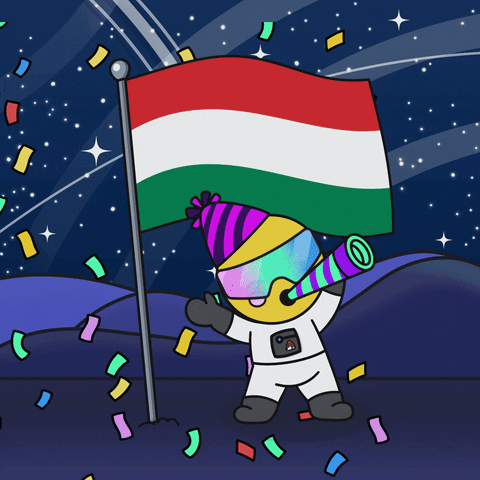 Hungary Flag Love GIF by Space Riders