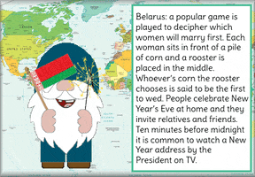 New Years Eve Belarus GIF