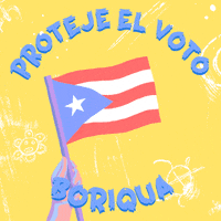 Votar Puerto Rican GIF by Creative Courage