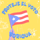 Votar Puerto Rican