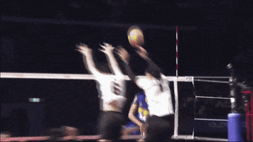 Awesome Japan GIF by Volleyball World