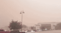 Family Takes Cover as Dust Storm Transforms Arizona Sky