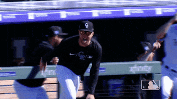 Excited Regular Season GIF by MLB