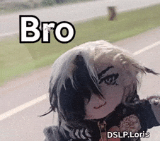Bro GIF