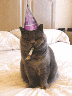 giphy.gif?cid=ecf05e470ec3363b5135c061cf