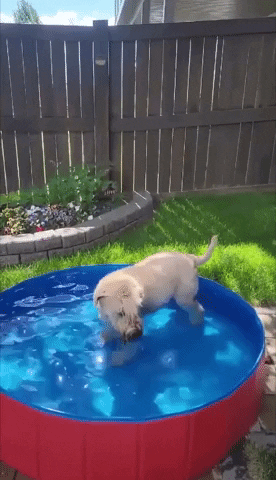 Heat Wave Summer GIF by Storyful