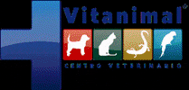 CVitanimal rainbow vitanimal GIF