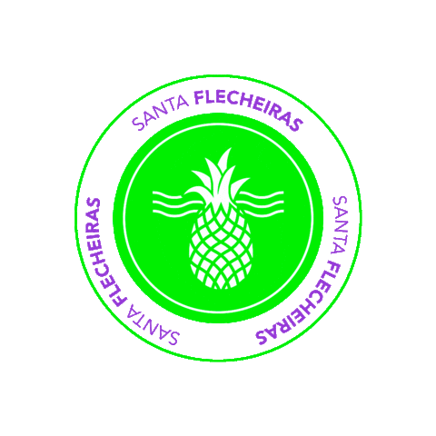 Party Beach Sticker by Santa Flecheiras