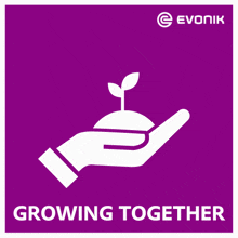 Sustainability Growing GIF by Evonik
