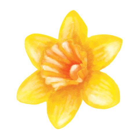Flower Spring Sticker by Marie Curie