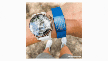 Runners Cobalt GIF by ROAD iD
