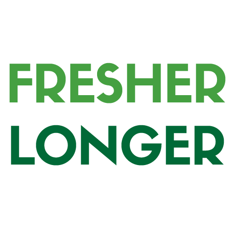 FreshPaper Sticker