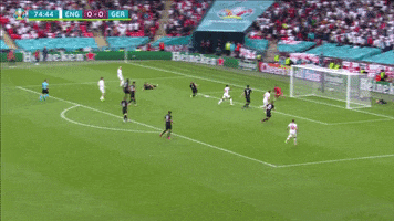 200.gif?cid=fc005b0832efc0e945cea7093e1518c1ddb934b9222de356&rid=200.gif&ct=g