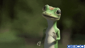 200.gif?cid=fc005b08a1bdf18ad8e765e94958358d268df361d791efe9&rid=200.gif&ct=g