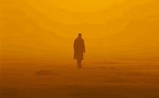 Blade Runner 2049 Orange GIF