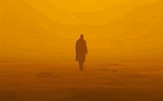Blade Runner 2049 Orange GIF
