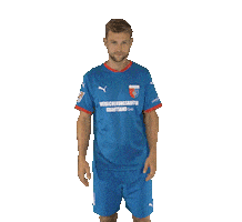 SV Drochtersen/Assel Sticker