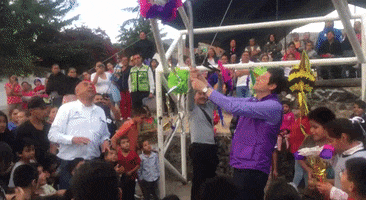 Alfonso Martínez Alcázar GIF
