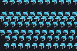 Dolphin GIF