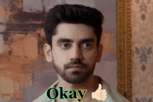 Okay GIF