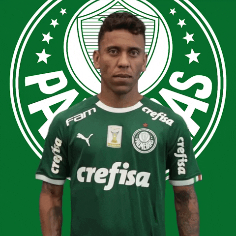 Palmeiras soccer futebol clean the best GIF