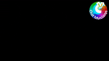 Peace Quotes GIF by murcianys